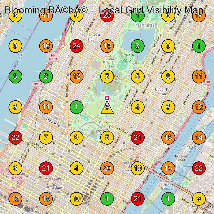 Blooming Bébé Dance School GeoGrid ranking map for 246 Columbus Ave New